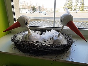 IMG 20220325 150731962