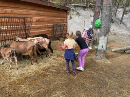 IMG 1363 Kopírovat