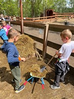 IMG 1401 Kopírovat
